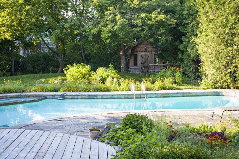 garden and swimming pool in backyard