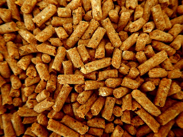 pellets chauffage