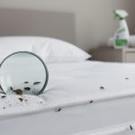 découvrez comment identifier les signes de la présence de punaises de lit à la maison, prévenir leur infestation et appliquer des solutions efficaces pour s'en débarrasser rapidement.
